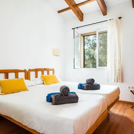 Flomertor 3 By Mauter