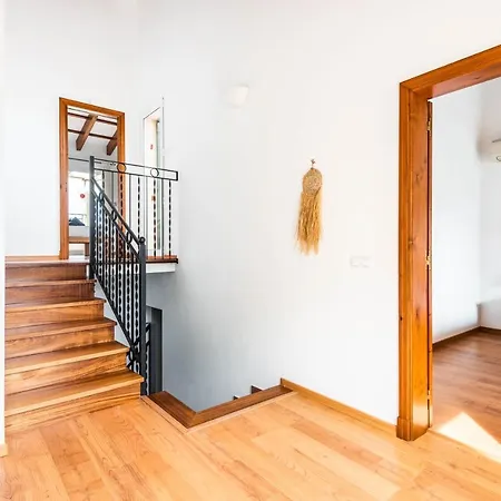 Flomertor 3 By Mauter *